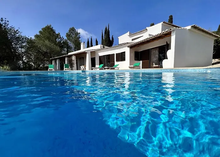 Bellevue With Pool By Homing 빌라