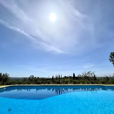 Bellevue With Pool By Homing *